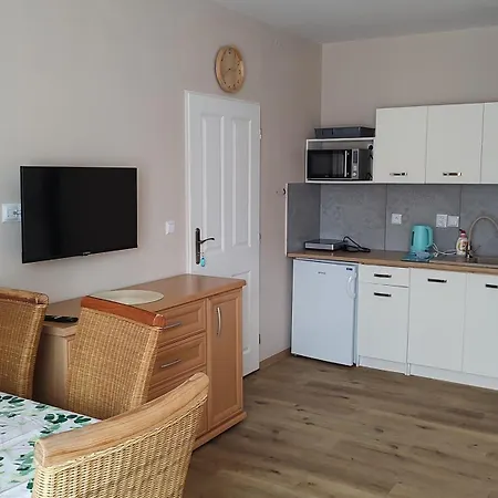 Hortenzie * Česká Skalice