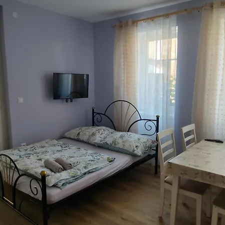 Hortenzie Česká Skalice