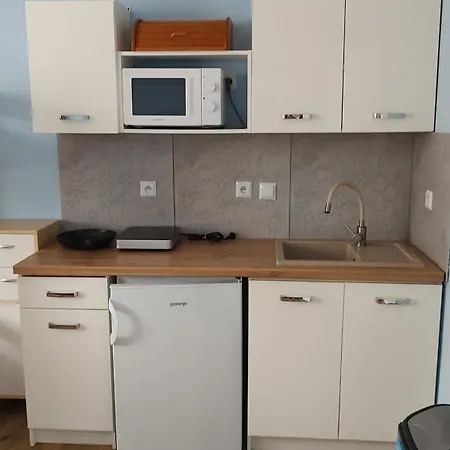 Hortenzie Česká Skalice