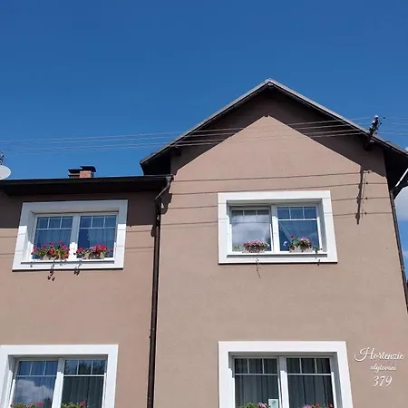 Hortenzie * Ceska Skalice