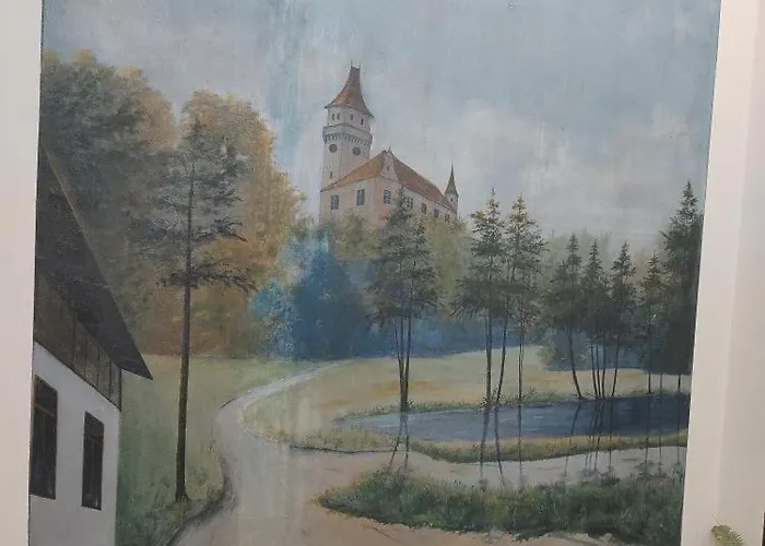 Hortenzie