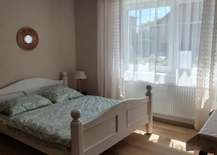 Hortenzie Česká Skalice
